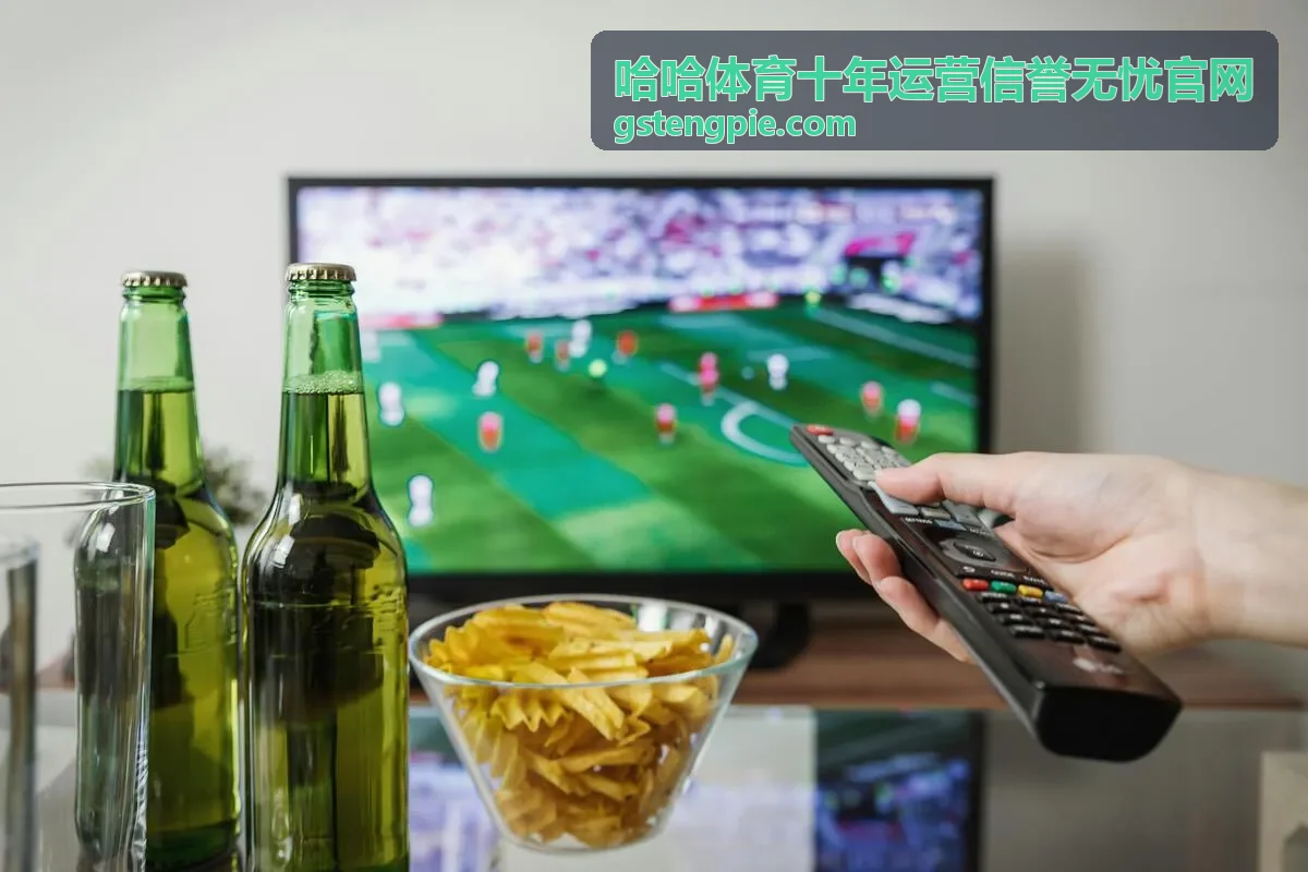 哈哈体育十年运营信誉无忧官网 数据看板封面