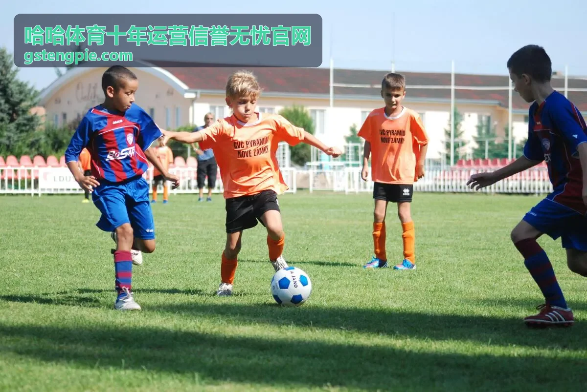 哈哈体育十年运营信誉无忧官网 账号安全指引封面